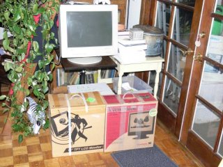 Monitors boxed, and a velociraptor